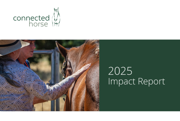 Cover, 2025 Impact Report