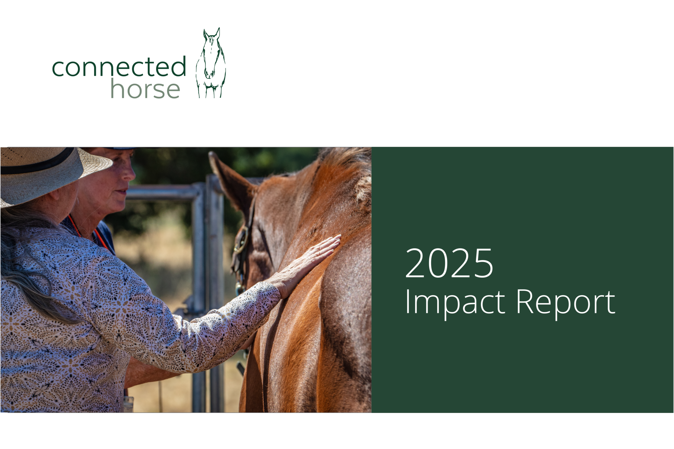 Cover, 2025 Impact Report