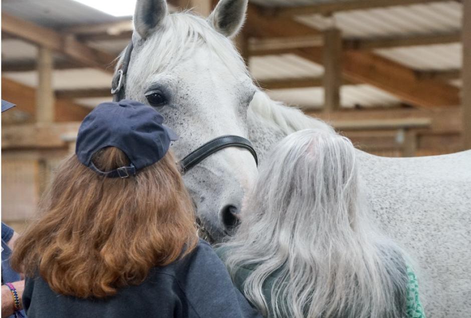 Val, a Connected Horse volunteer, and one of the participants in the CEI program greet one of our equine friends