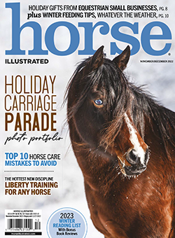 Horse Illustrated Cover