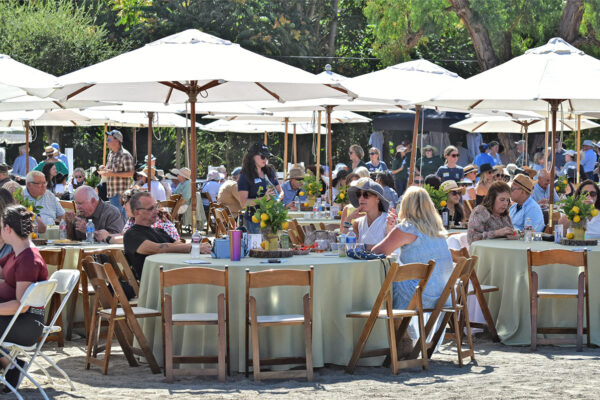 LWL2025-_0005_Site Overview