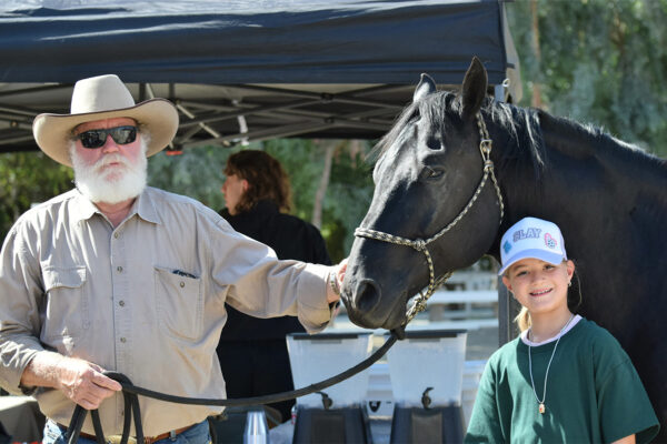 LWL2025-_0006_Guest-Horse