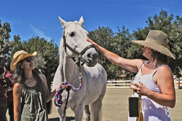 LWL2025-_0010_Guests with White Horse