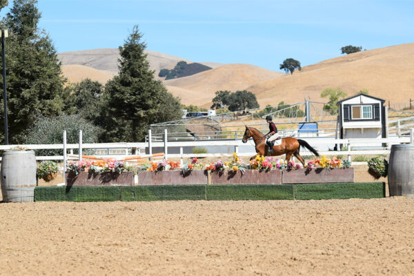 LWL2025-_0016_Rider Demo