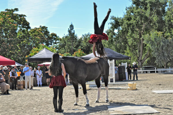 LWL2025-_0021_Acrobatics