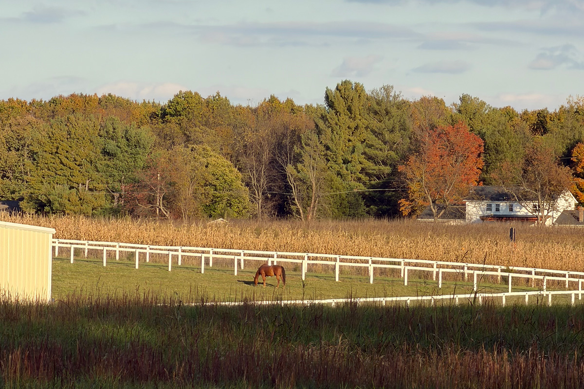 Horses with Hearts, Martinsburg, WV - one of the Connected Horse Certified Barns