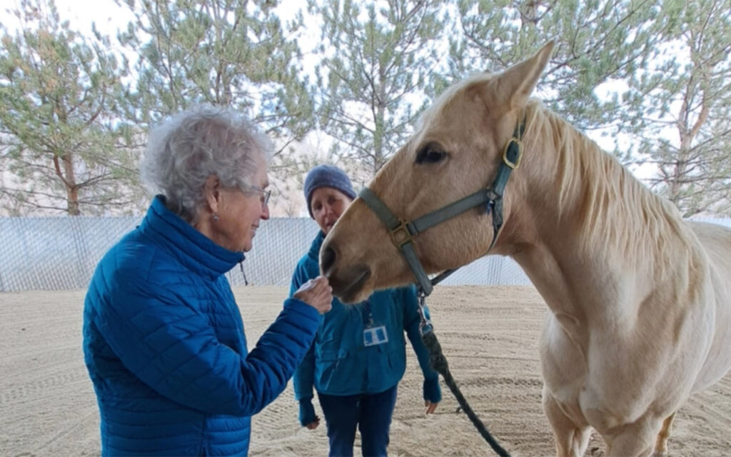 A participant engaging with the horses at a Memory Cafe event at Kids n Horses, in Minden, NV
