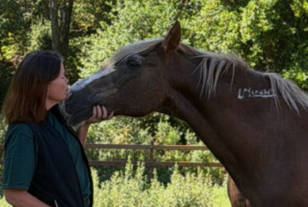 Co-Founder Paula Hertel and her horse