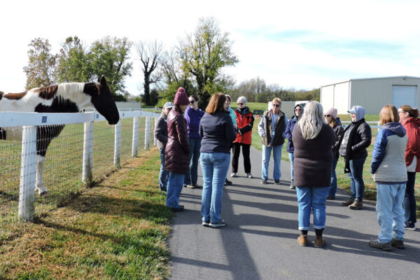 WV-Group-outside-horse