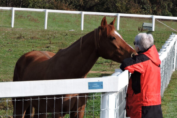 WV-Woman&horse