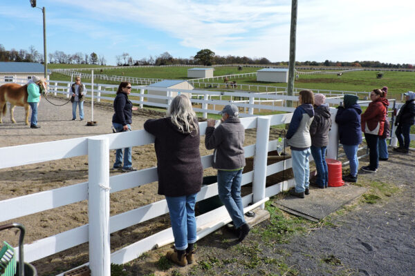 WV-explaining exercise