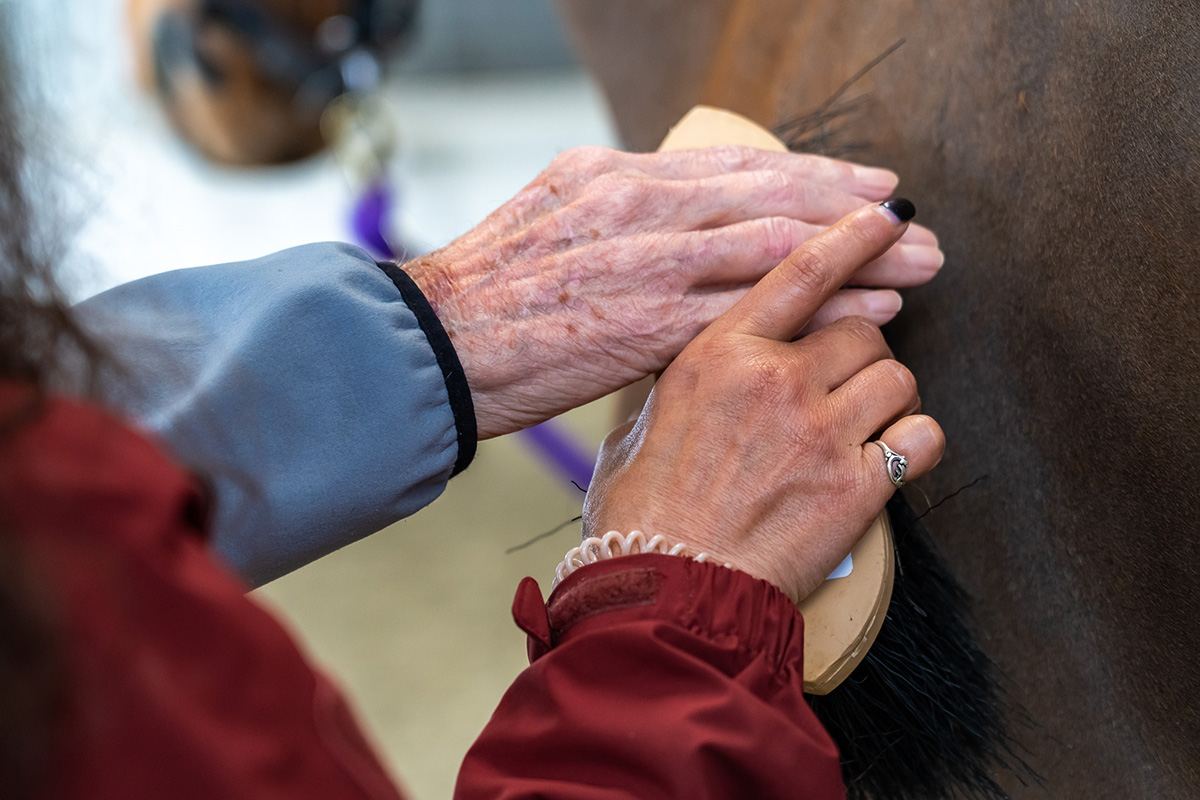 Connected Horse helps to strengthen the bonds between participants and their caregivers.