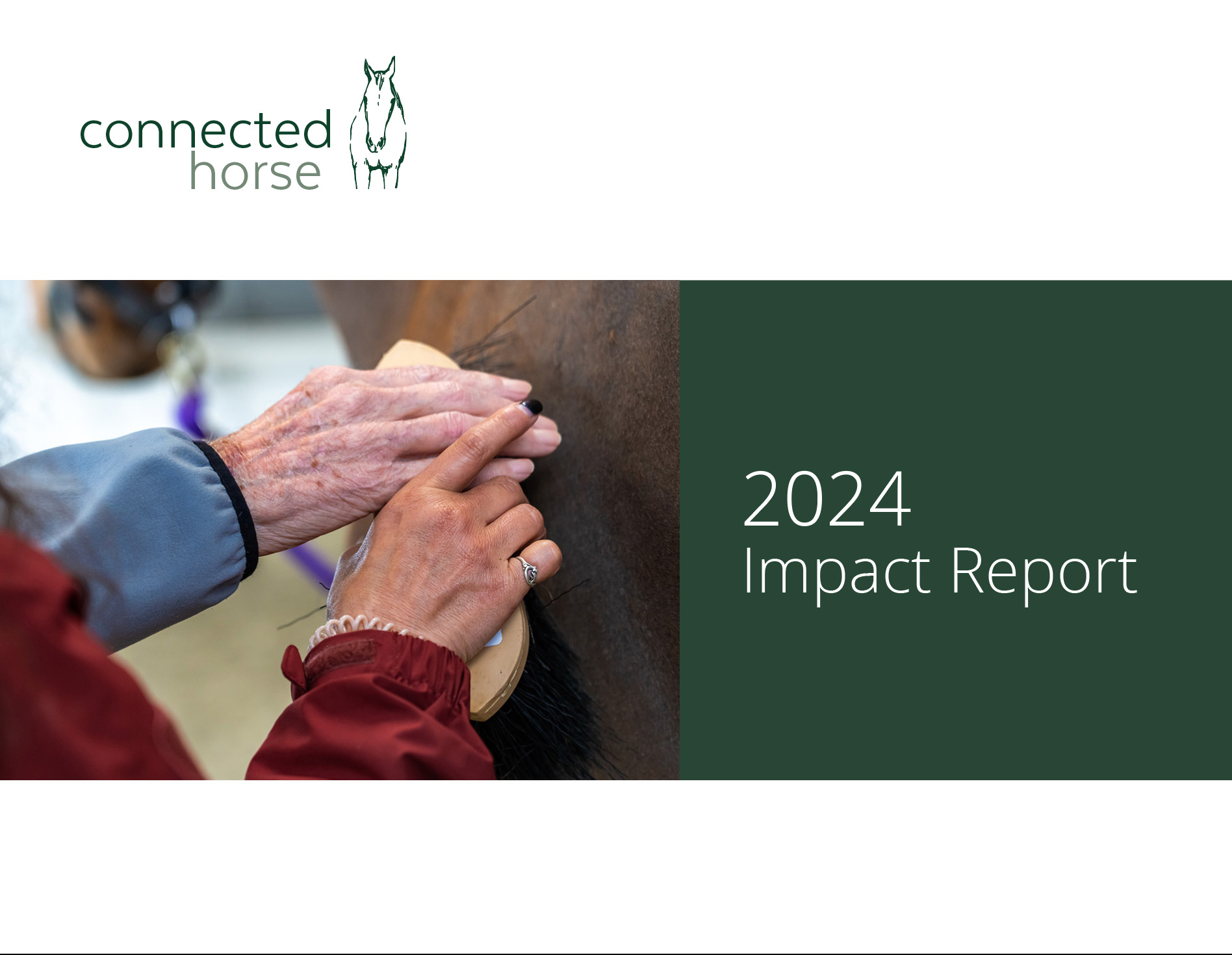 The Connected Horse 2024 Impact Report highlights our efforts in program innovation, workshops, training, collaborations, fundraising, and research to deepen community connections.