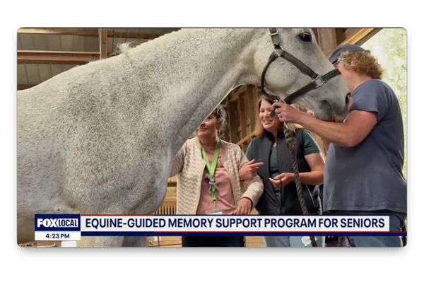 KTVU features work of Connected Horse and CEI