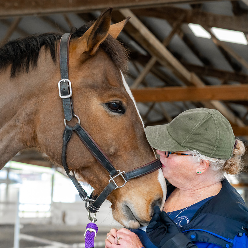 Linda B – Our Master Horse Handler Volunteer