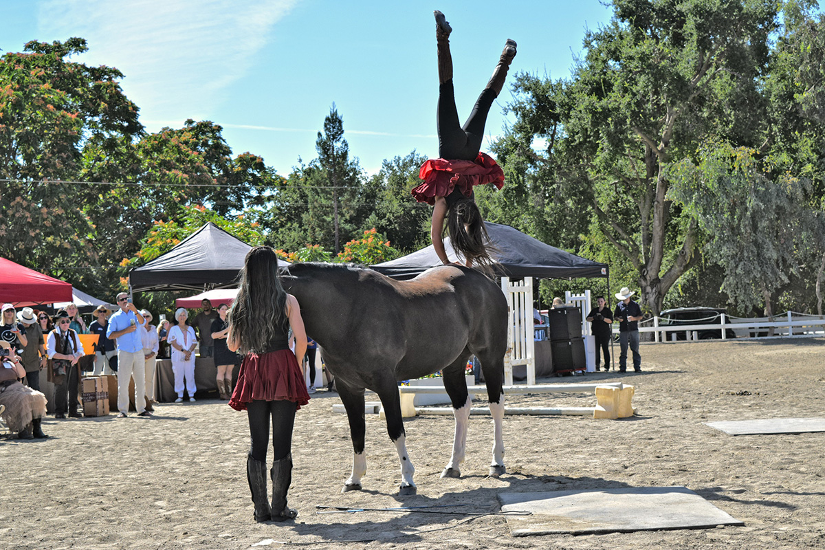 Circus Cowgirl daughters performing with Dude