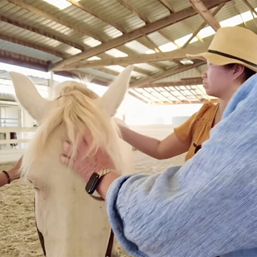 The team from Stoneridge Creek at 5-Star Equestrian Center