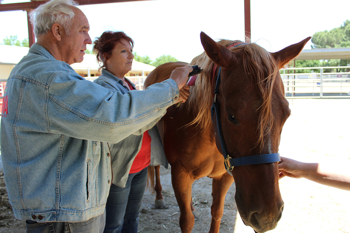 A participant and caregiver work together during a Connected Horse workshop.