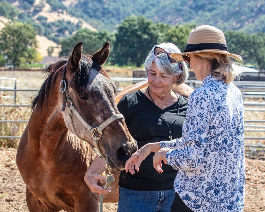 Sunrise Horse Rescue, Connected Horse Workshop participants