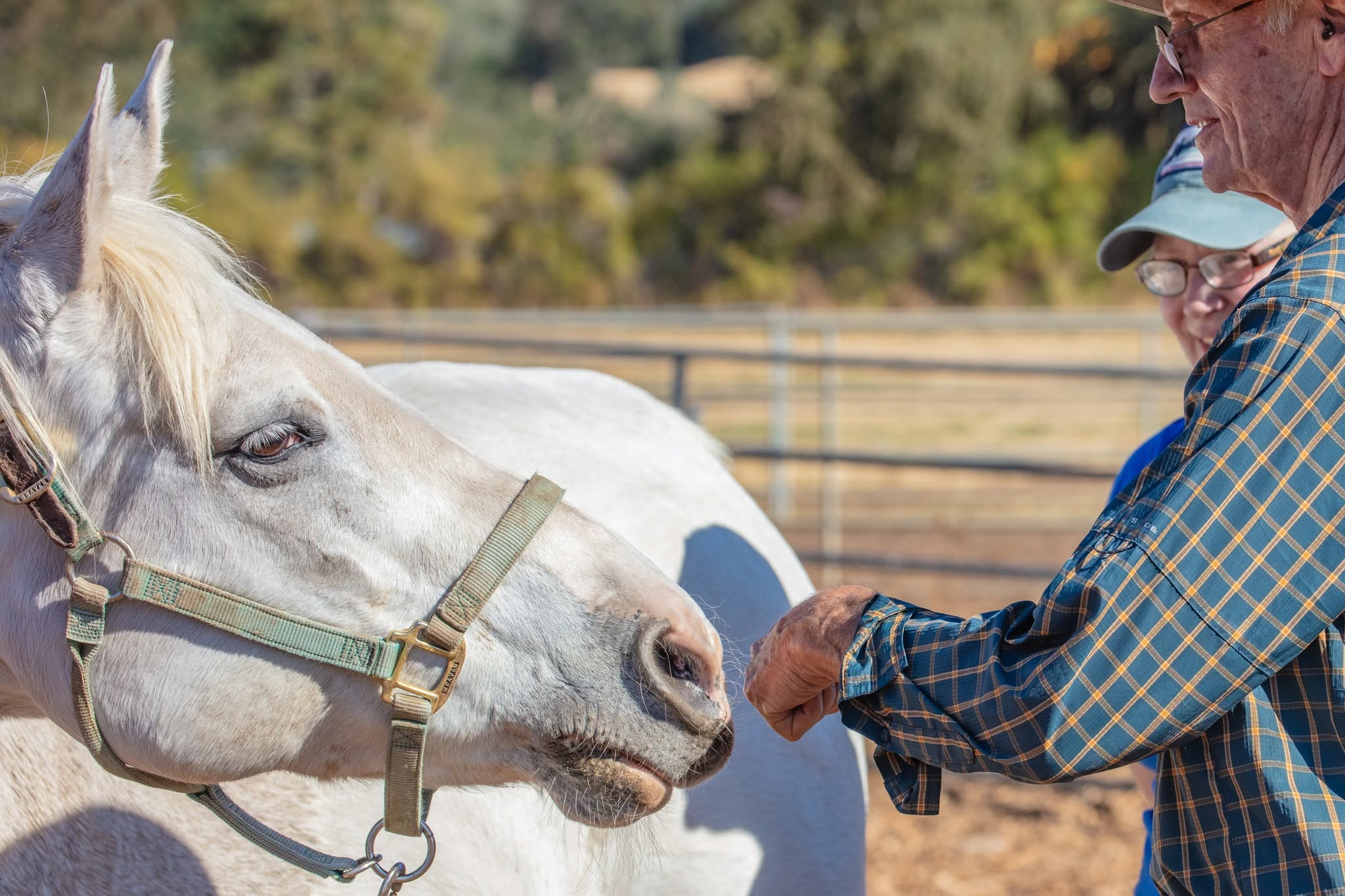 Sunrise Horse Rescue, Connected Horse Workshop participants
