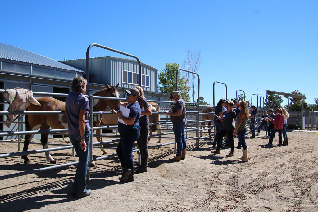 Facilitator Training at a Certified Barn in Minden, Nevada.