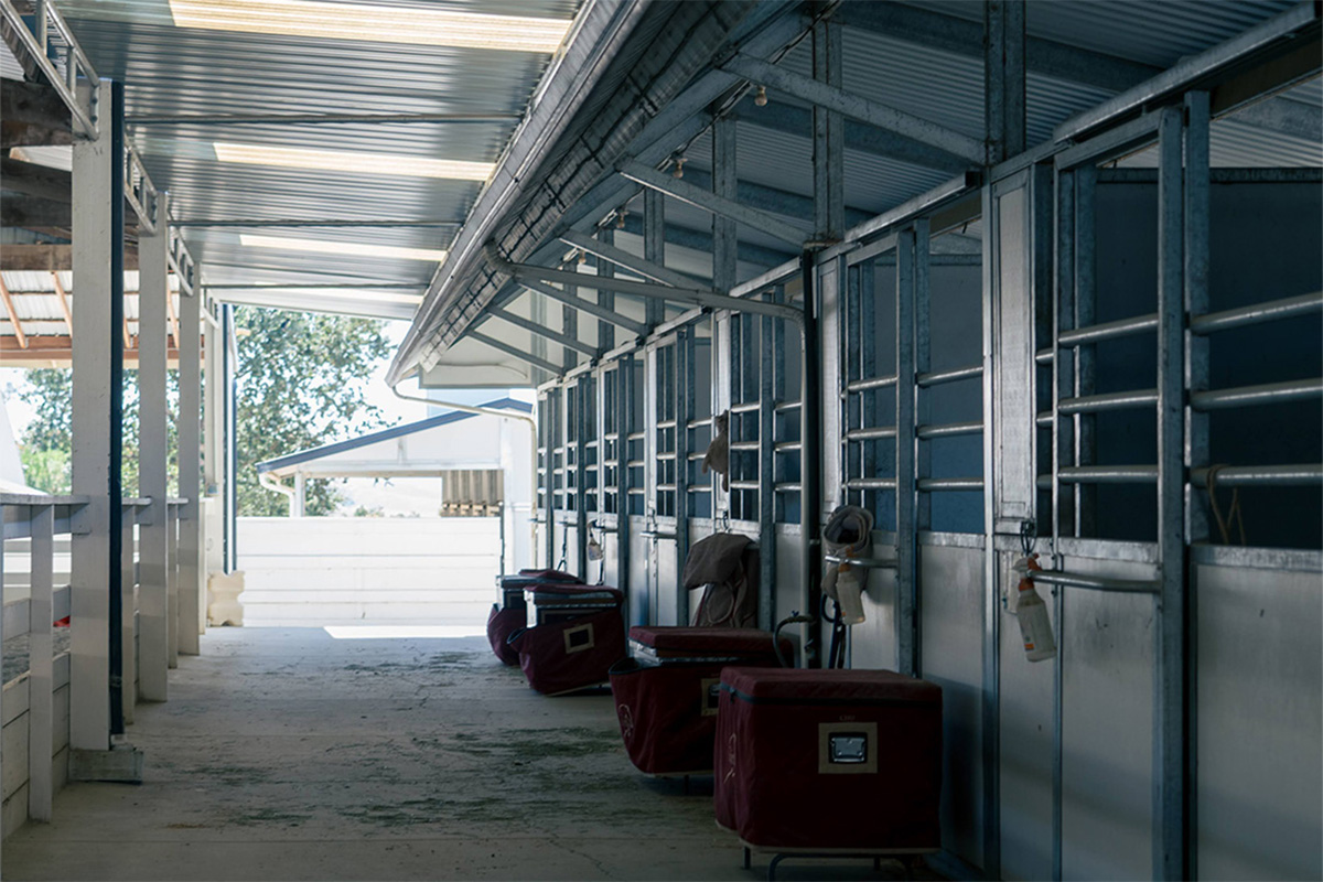 The stables at one of the Connected Horse certified barns.