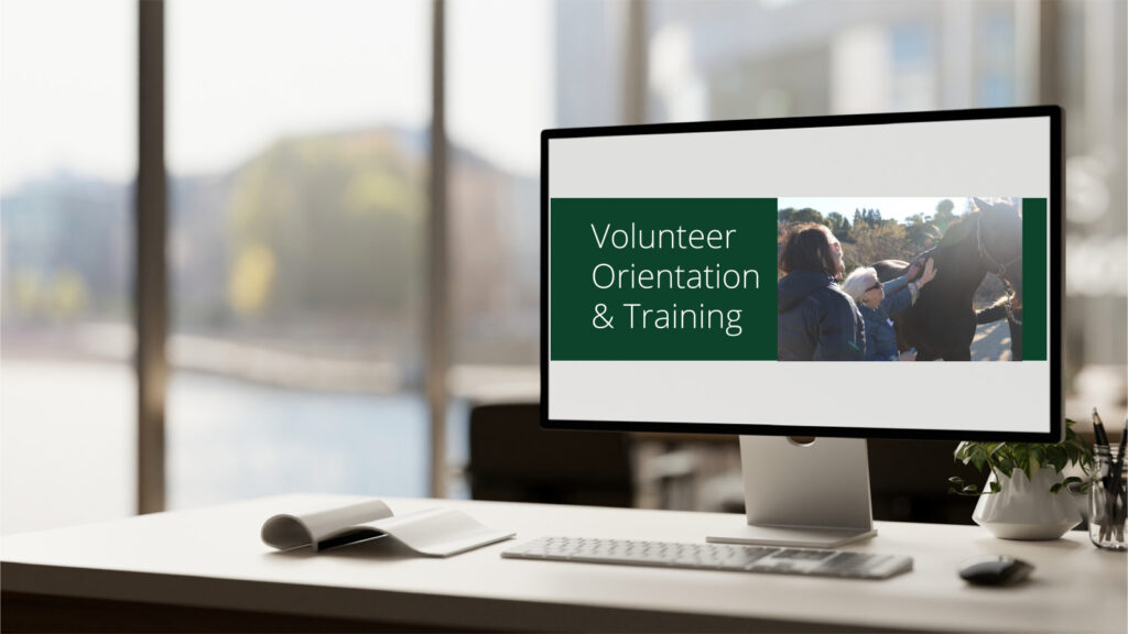 Volunteer Orientation / Training