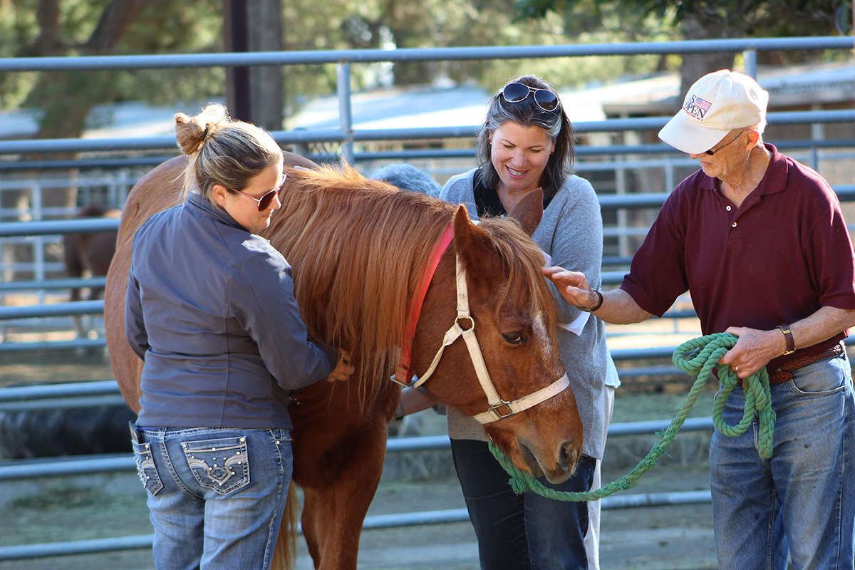 Paula Hertel works with a team during a workshop at UC Davis.