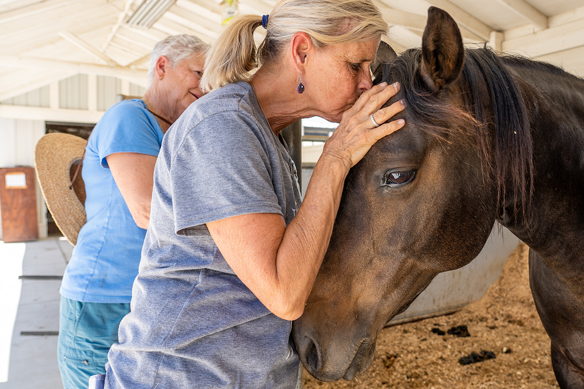 A volunteer and participant work with a horse during a workshop at 5 Star Equestrian in Pleasanton, CA.