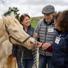 Paula Hertel works with a participant and their caregiver during a workshop at 5 Star Equestrian in Pleasanton, CA.