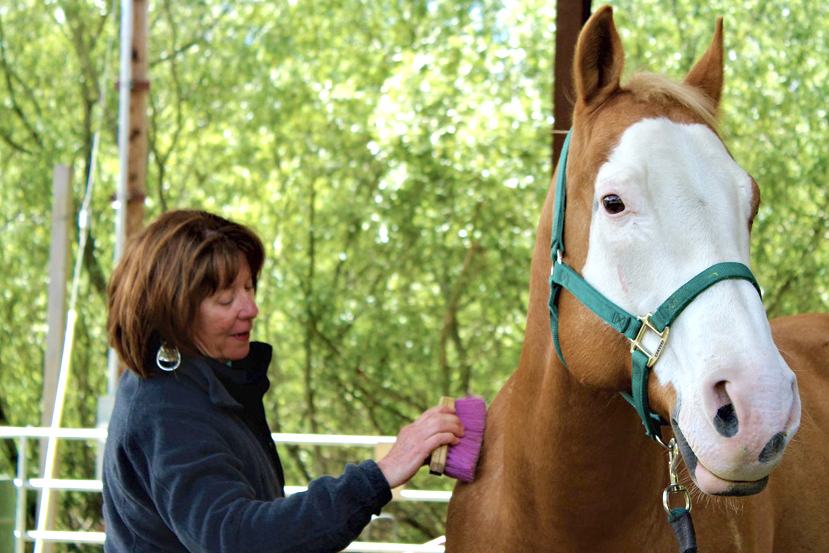 A participant with a horse during a Connected Horse workshop at Xenophon Therapeutic Riding Center in Orinda, CA